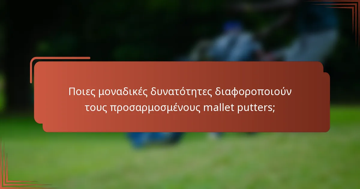 Ποιες μοναδικές δυνατότητες διαφοροποιούν τους προσαρμοσμένους mallet putters;